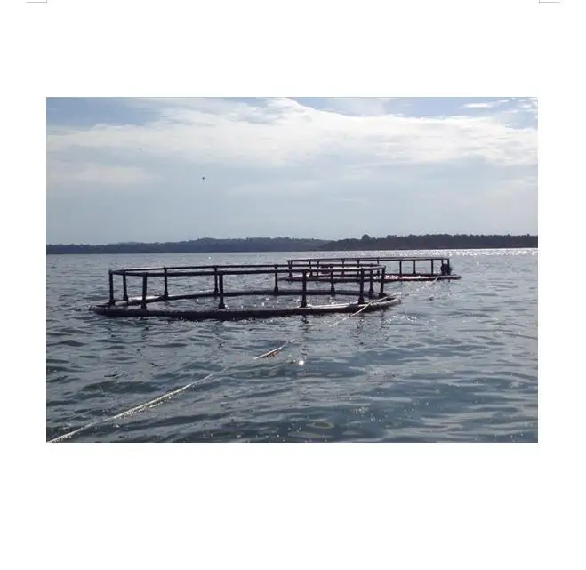 

China Green Long Cage Pe Fishing Net