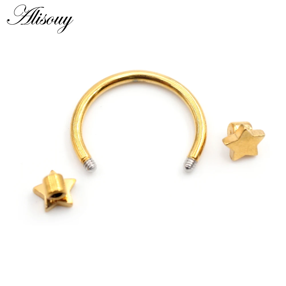 Alisouy 1PC Stainless Steel Heart Star Flower Horseshoe BCR Captive Septum Ear Guauge Nipple Nose Rings Piercing Body Jewelry view 5