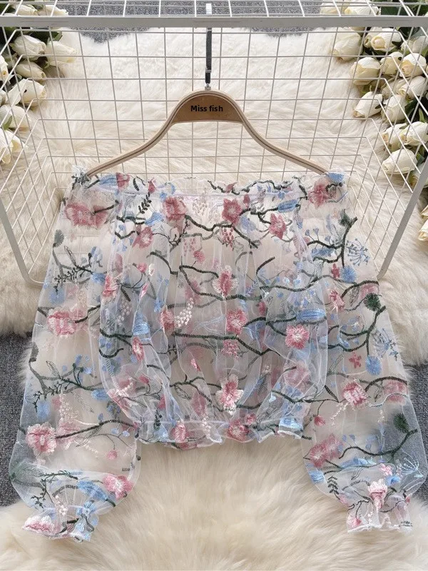 

Женская модная укороченная блузка свободного кроя с вышивкой, прозрачными вставками, на одно плечо, с рукавами-фонариками и кружевом