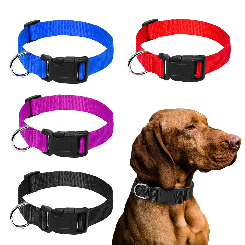 Nylon Webbing Dog Collar Heavy Duty Clip Buckle Solid Pet Basic Collar for Small Medium Dog Chihuahua Teddy Keji Pitbull Bulldog