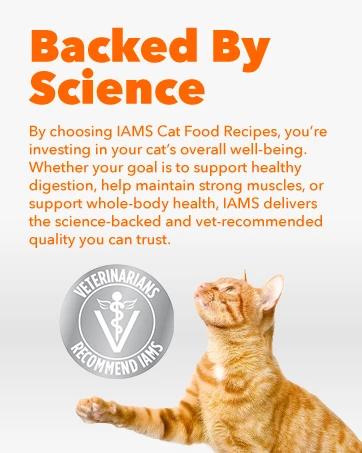 iams cat