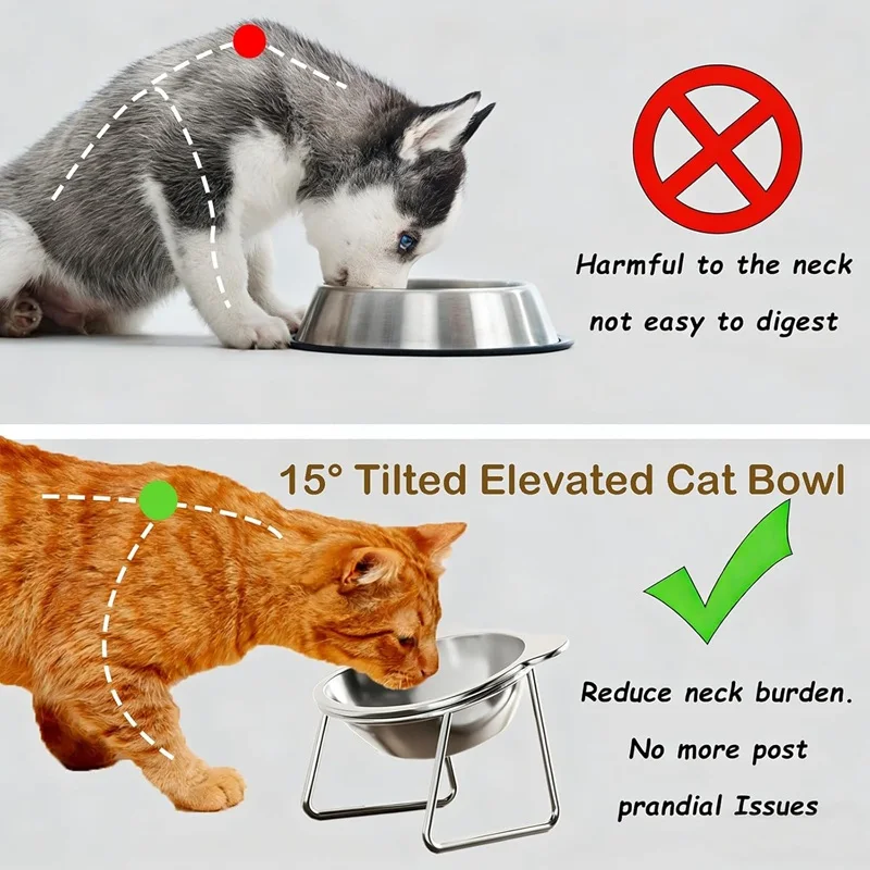 Cat Bowls Tilted Neck Guard Cat Food Bowl Indoor Stainless Steel Shatter Resistant Elevated 15° Pet Bowl For Kitten Puppy