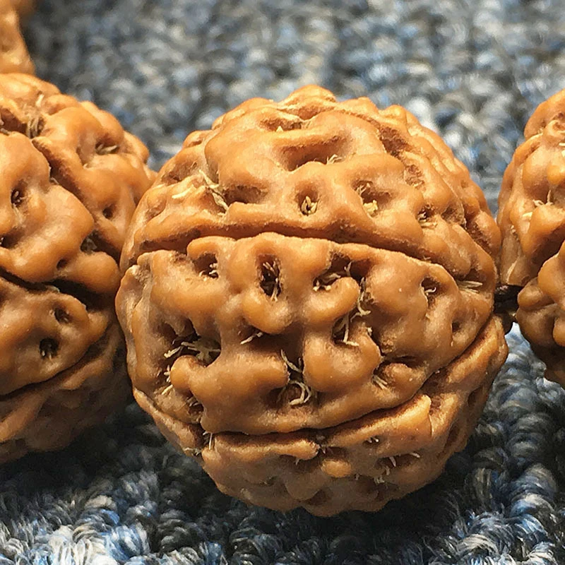 Pulsera Grande de Rudraksha, Semillas Originales, Amarillas, Redondas, de 6, 7, 8, 9 Pétalos, Rudraksha Indonesiana de Piel Roja y Pulpa Rica