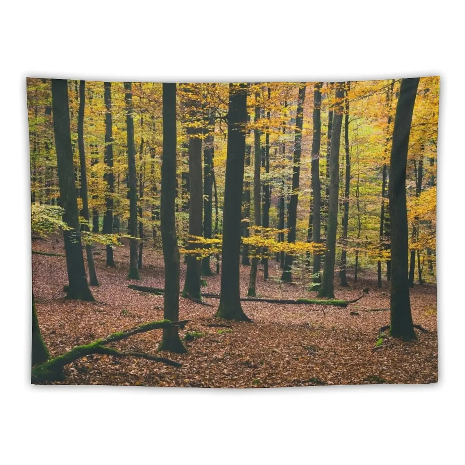 

MINDS IN NATURE|MODERN PRINTING|1 Pc #27983611 Tapestry Bed Room Decoration Tapestry