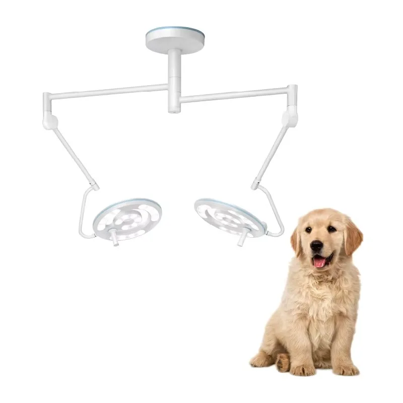 2026 Vet Wall Mount LED Examination Light Veterinary Hospital Surgical Light Operating Lamp for Animal Care and Supplies