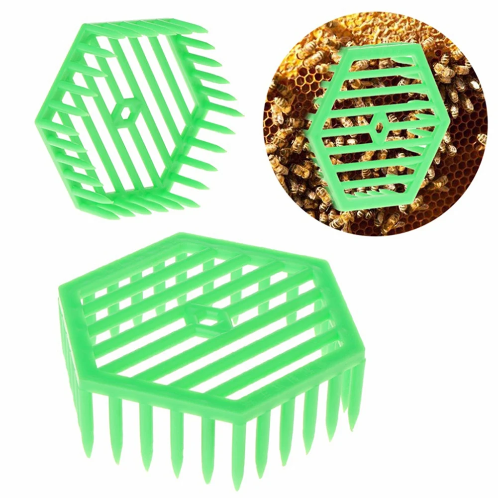 Feb.Beekeeping Quee… - image