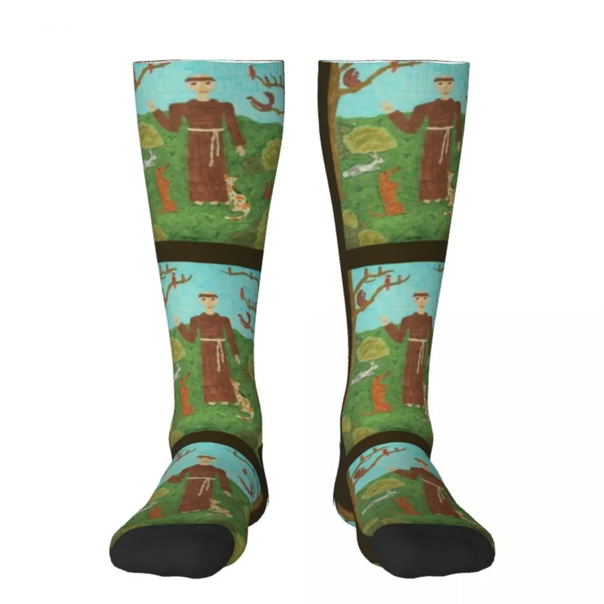 

Saint Francis of Assisi Socks Argentina floor luxury Socks For Man Women's