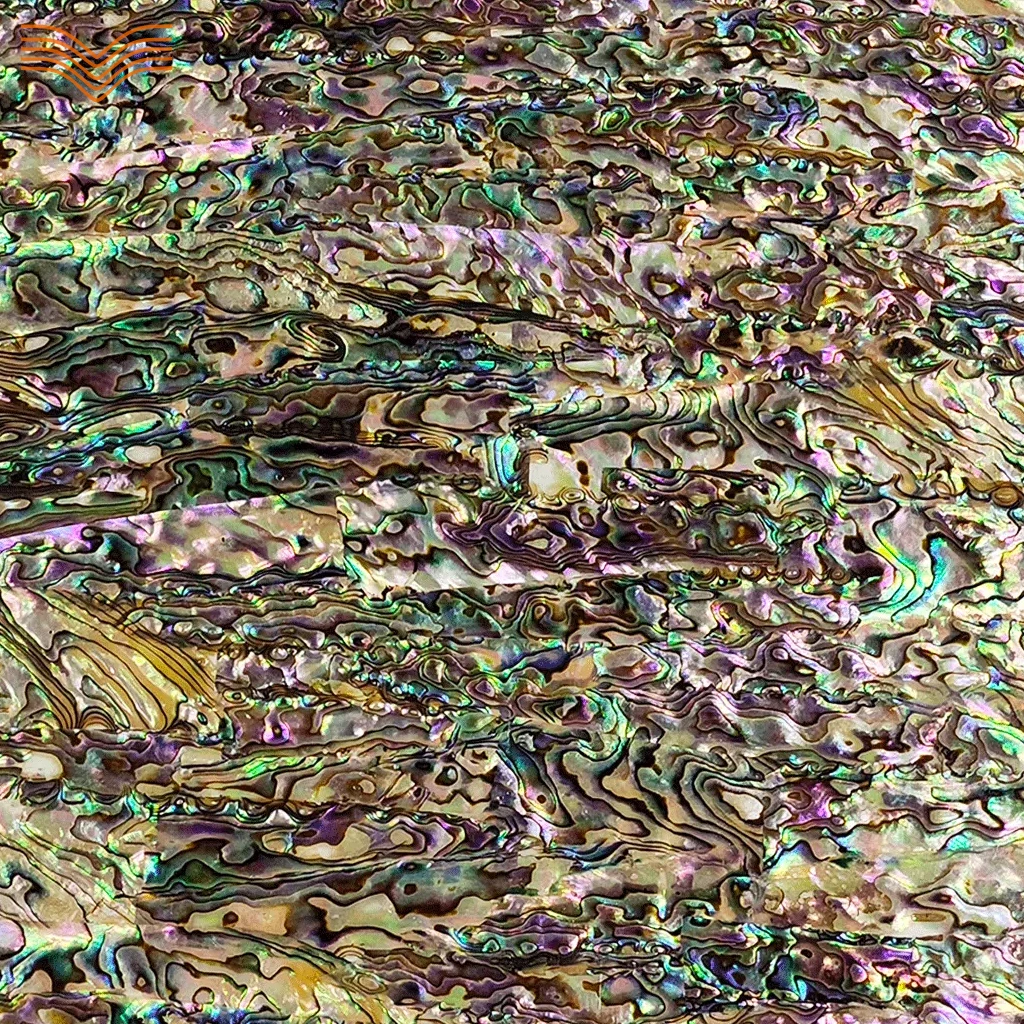 Natural Abalone Shell Veneer Creative Marquetry Material For Lacquerware Lacquer Painting Carving Jewelry Inlay Craft