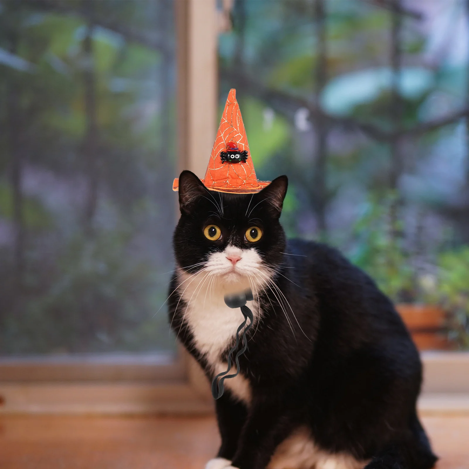 

Witch Hat Headband Adorable Dog Cosplay Pet Halloween Themed Cat Decorative Adjustable Strap Supply