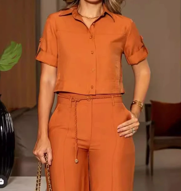 Two Piece Set Women Outfit 2024 Summer Fashion Turn-down Collar Short Sleeve Top & Casual Commuter High Waist Wide Leg Pants Set