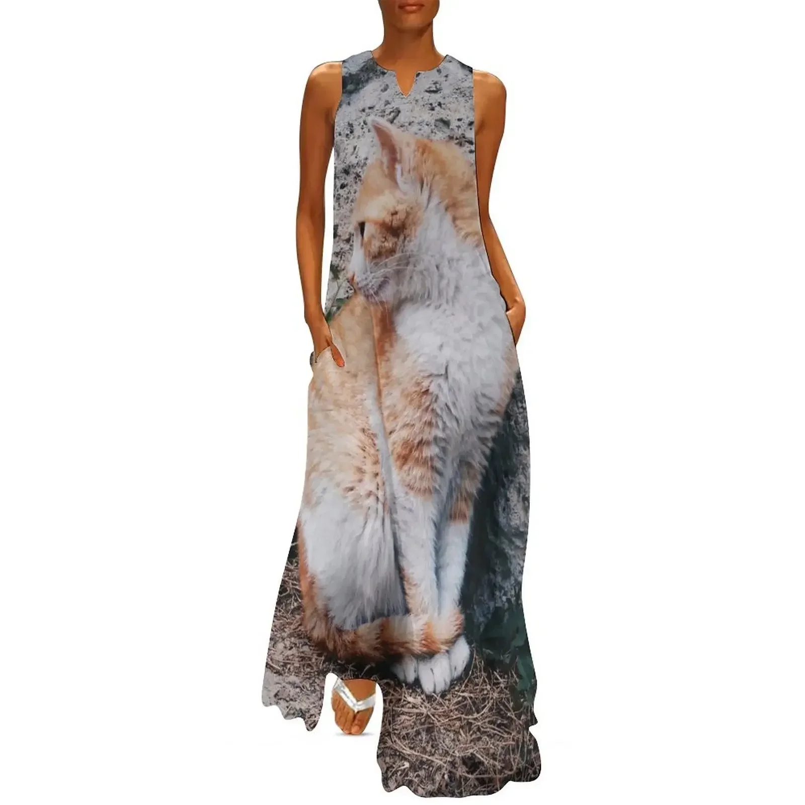 

Cute Ginger Cat Sitting Elegantly Outside Long Dress ladies dresses for special occasion Women's dress Dress