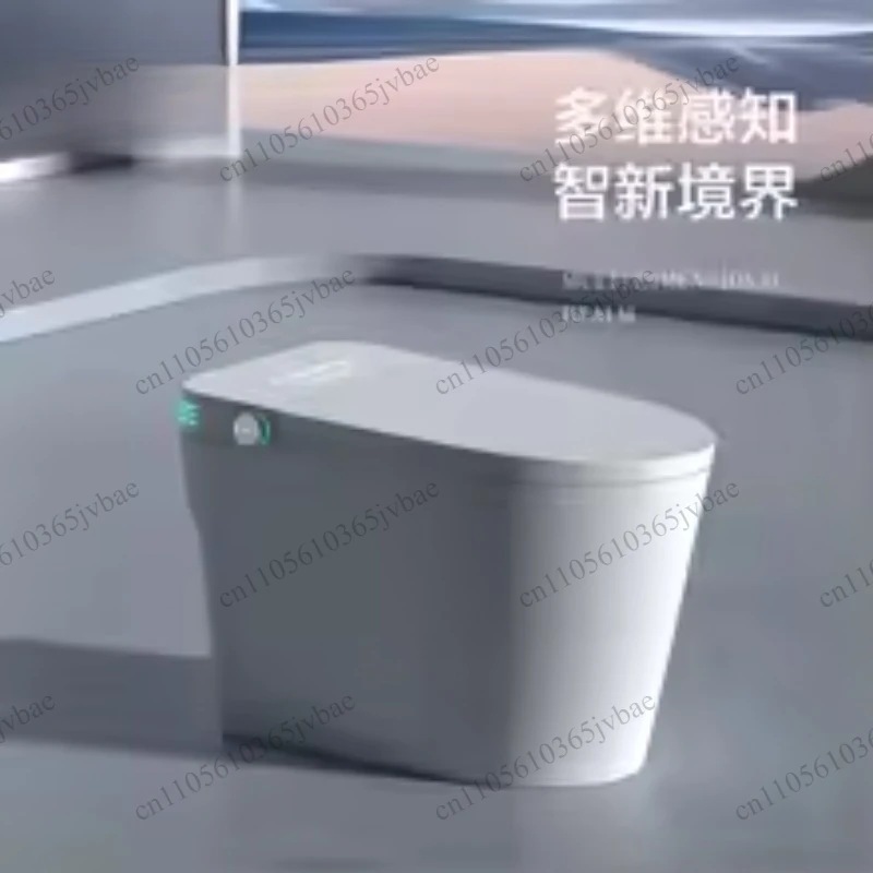 Double-layer Waterway Smart Toilet Heating Seat Automatic Flush Splash-proof Foam Model