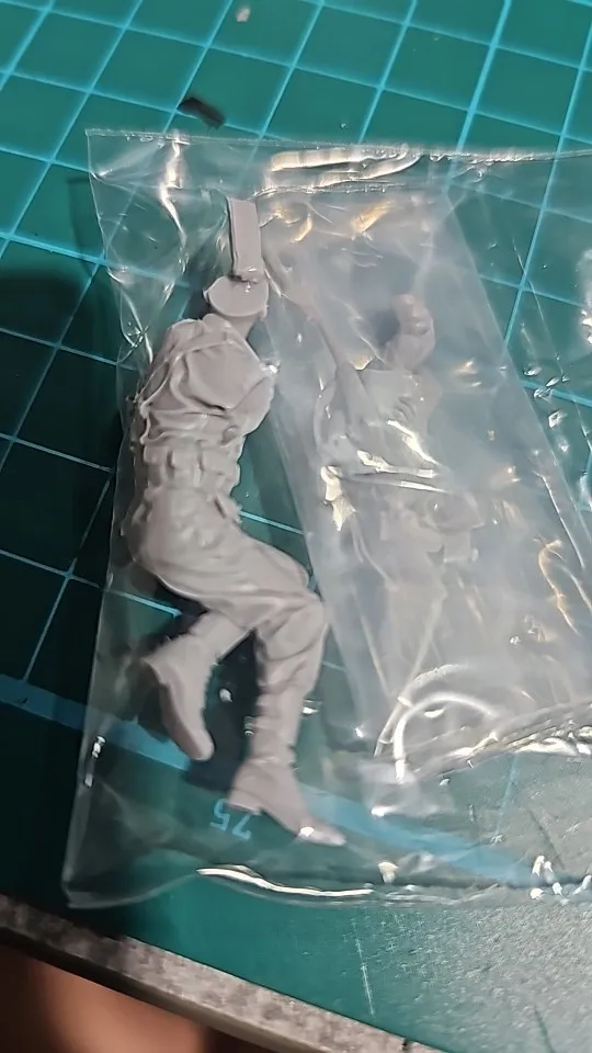 Buyer photo of this resin kit