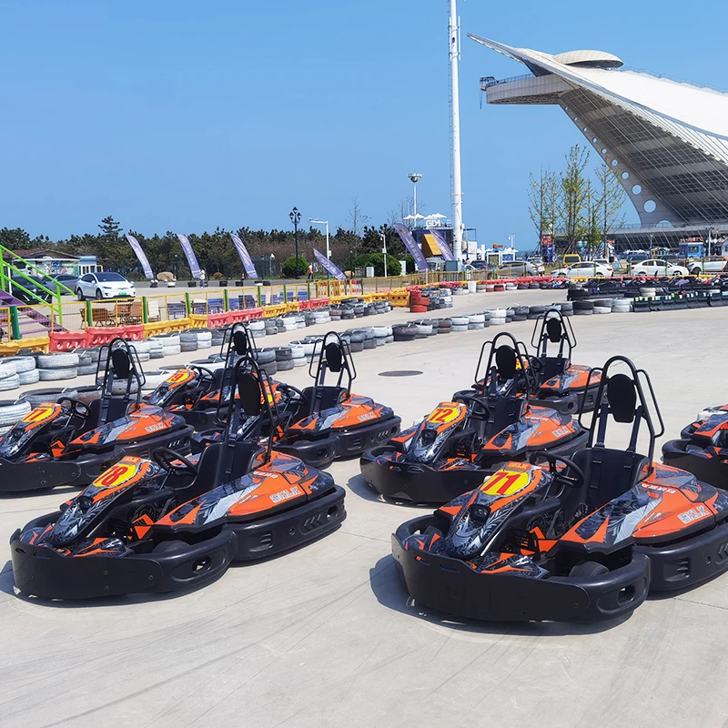 Commercial Go Karts Gasolina Adult Karting High Performance Kart for Track Racing Club Rental Service