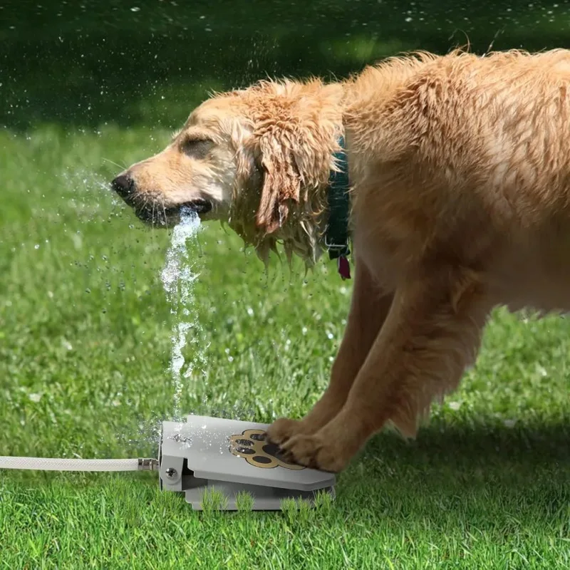 fontaine-a-boire-exterieure-pour-chien-distributeur-automatique-de-boissons-en-acier-inoxydable-fontaine-interactive-d'ete-jouets-amusants-pour-animaux-de-compagnie