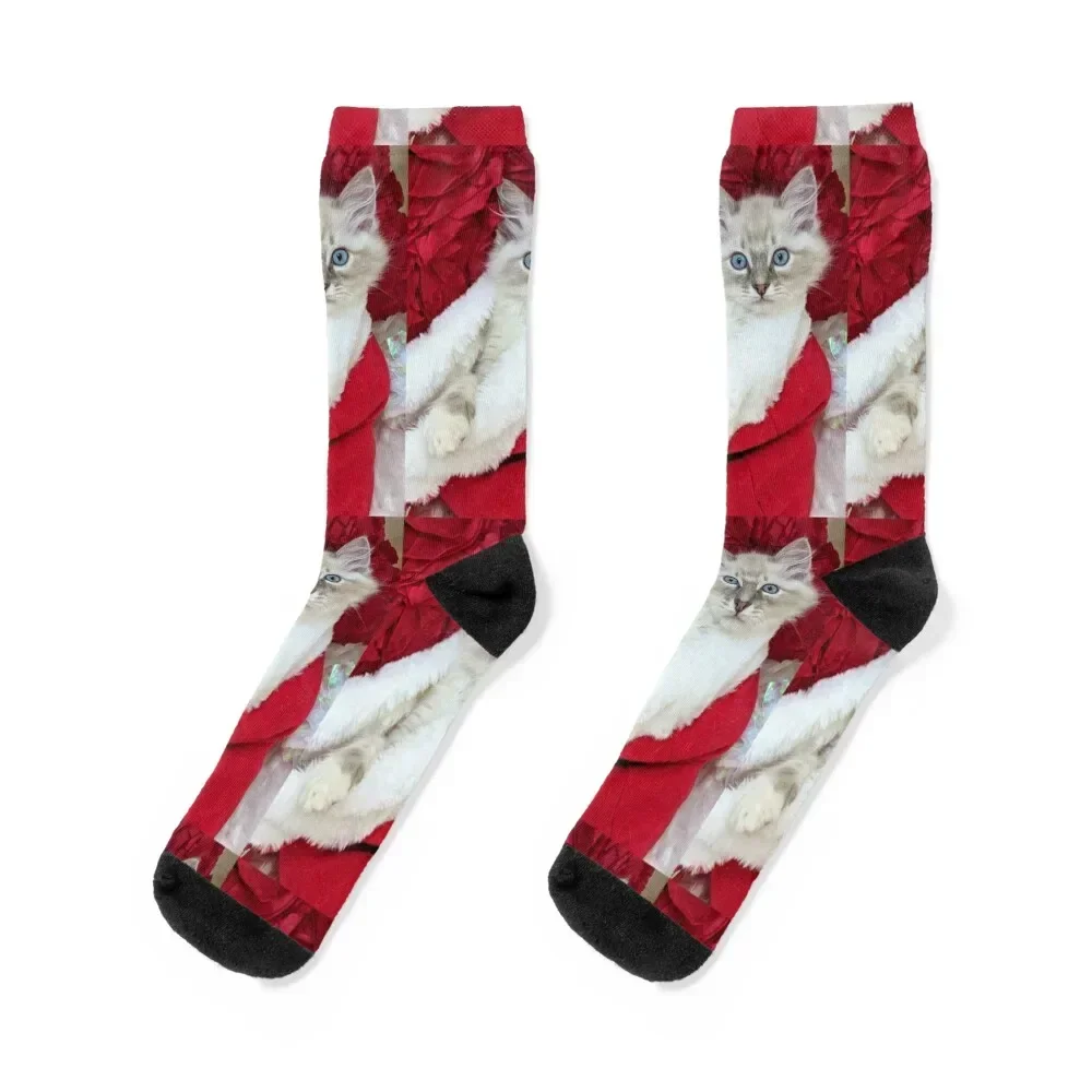 Ragdoll kitten Christmas Socks basketball retro designer Mens Socks Women's