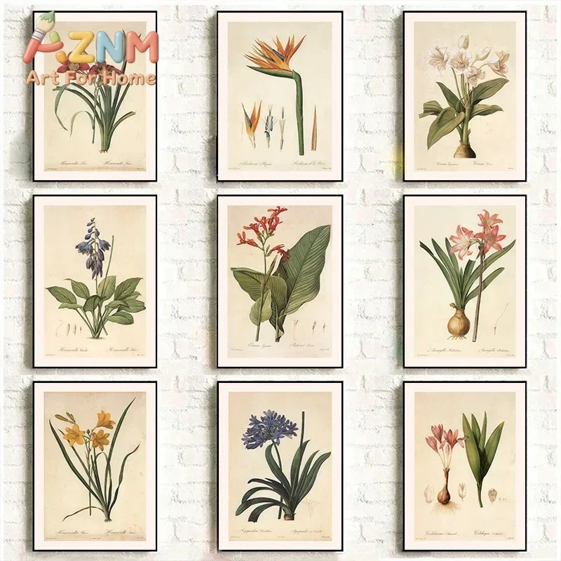 1pc Frameless Canvas Painting Vintage Classic Rhizome Knowledge Plant Flowers Illustration Poster Canvas Painting Wall Art Pictu