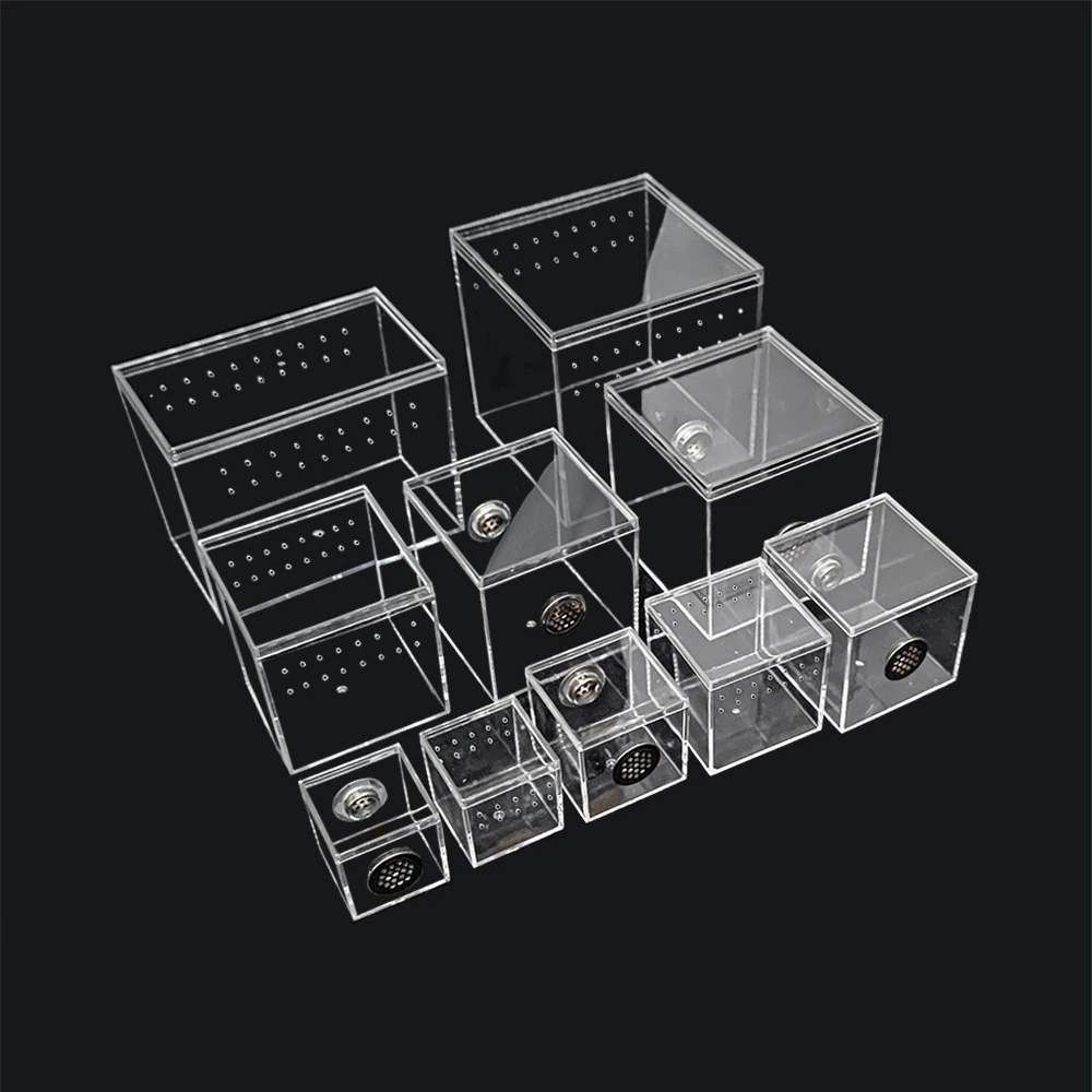 1Pcs Transparent Pet Breeding Box With Vent Holes Reptile Habitat Terrarium Tarantula Enclosure Spider Scorpion Turtle Clear Box