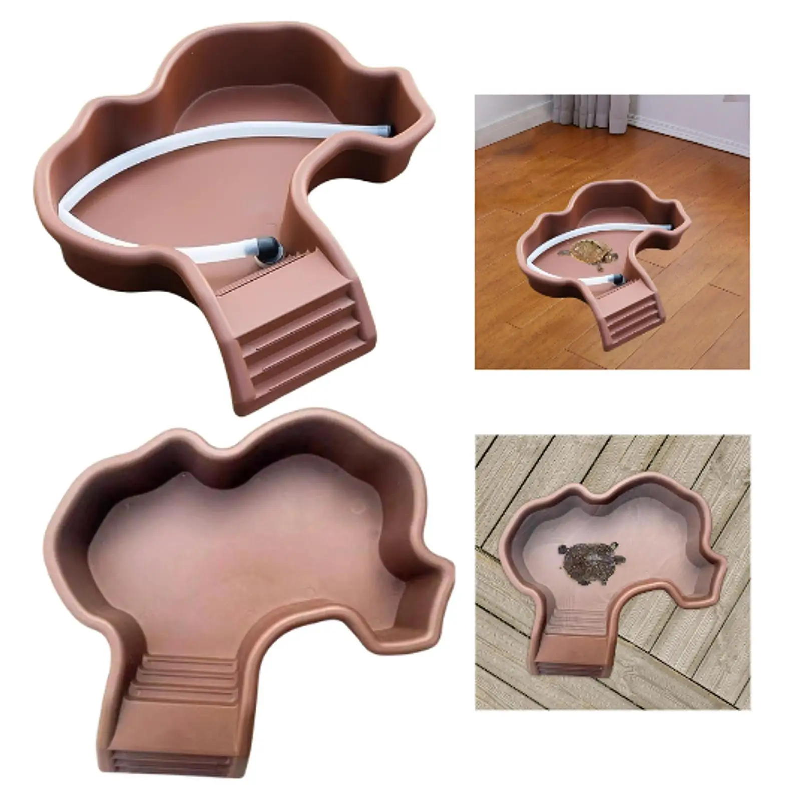 Reptilien-Wassernapf, Baden, Pool, Ornament, Futternapf, Schildkröte, Futternapf mit Rampe