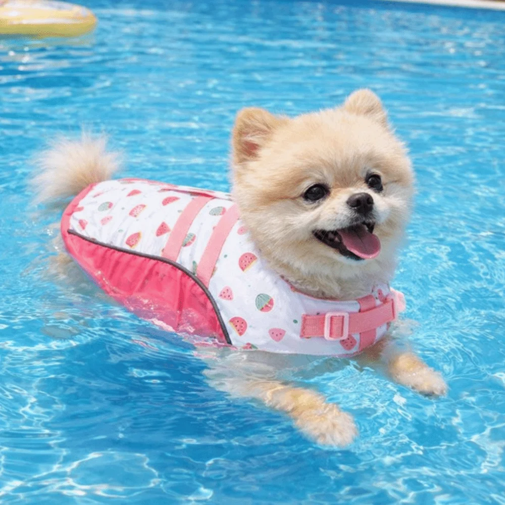Adjustable Dog Life Jacket High Buoyancy Waterproof Dog Lifesavers Swimsuits Secure Fit Thick Sponge Pad Pet Safety Vest Beach view 4