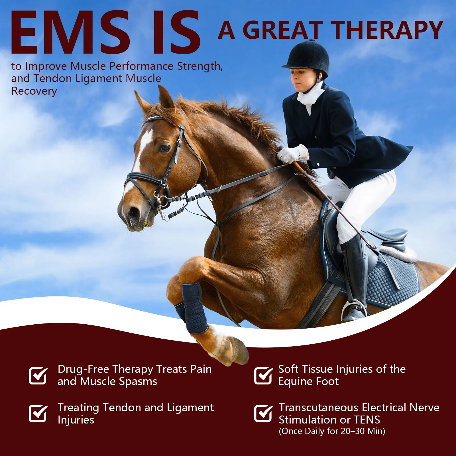 Cold laser treatment of horses wavelength 680nm808nm Red Light&TENS Therapy Device for Arthritis Heel Spurs Pain Relief Horse