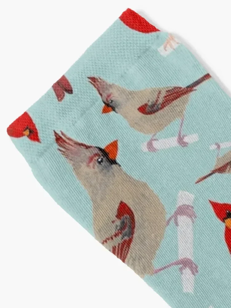 Northern Cardinal Socks Heating sock Lots Stockings man Boy Socks Women's