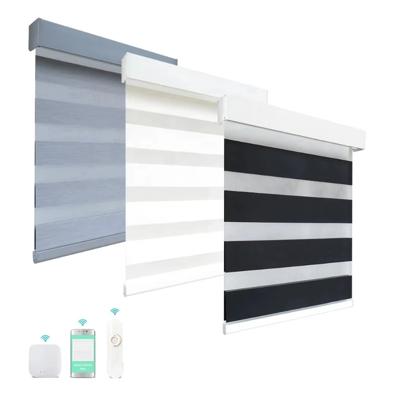 

Intelligent WiFi APP controls day and night double-layer fabric battery motor operation electric blinds