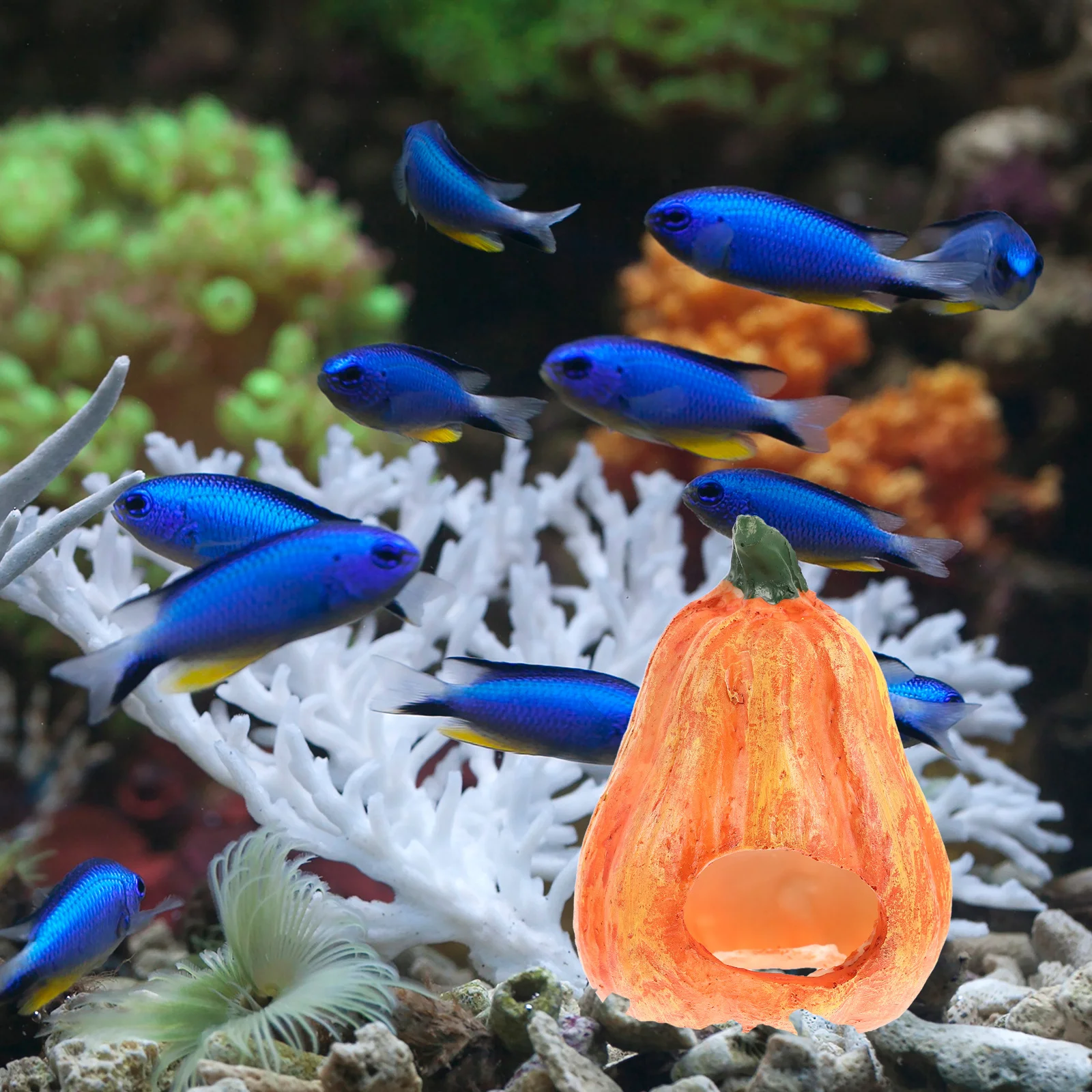 

Pumpkin Shaped Aquarium Cave Resin Fish Tank Shelter Unique Chic Wear-Resistant Pet Accessory Adorable Fish Supplies