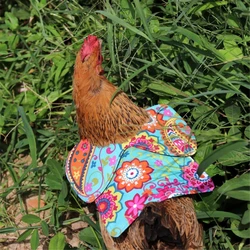 Delantal de gallina de silla de montar de pollo con forro acolchado correas elásticas para gallinas aves de corral