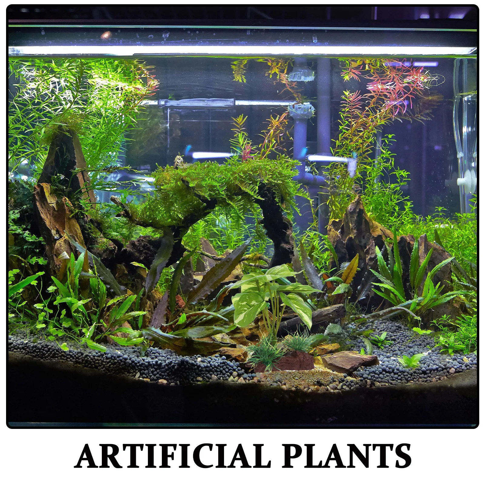 Tanaman Akuarium Plastik yang  - Aquarium Planted Tank Setup ulasan dan harga
