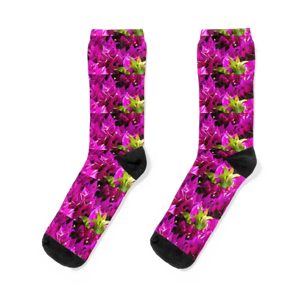 

bougainvillea long, flower, opening up to the sun, Socks Run sheer moving stockings designer Male Socks Women's