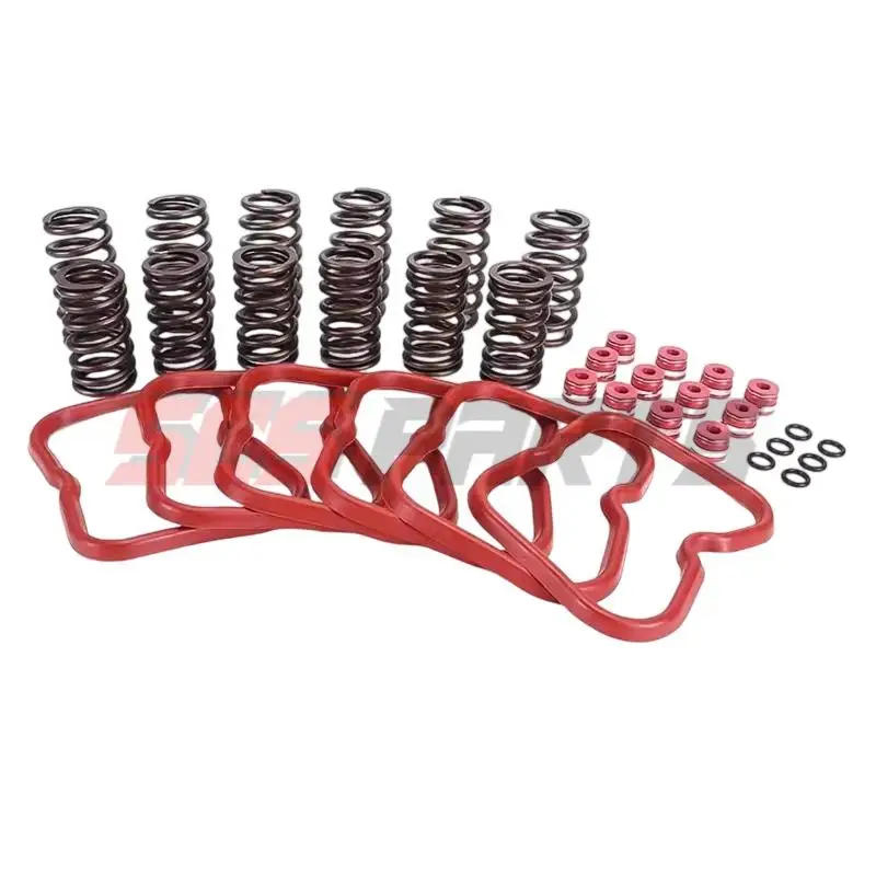 

3916691 3902666 3921640 3910824 Valve Springs Gaskets Kit For 1989-1998 Dodge 5.9 12V Cummins 6BT