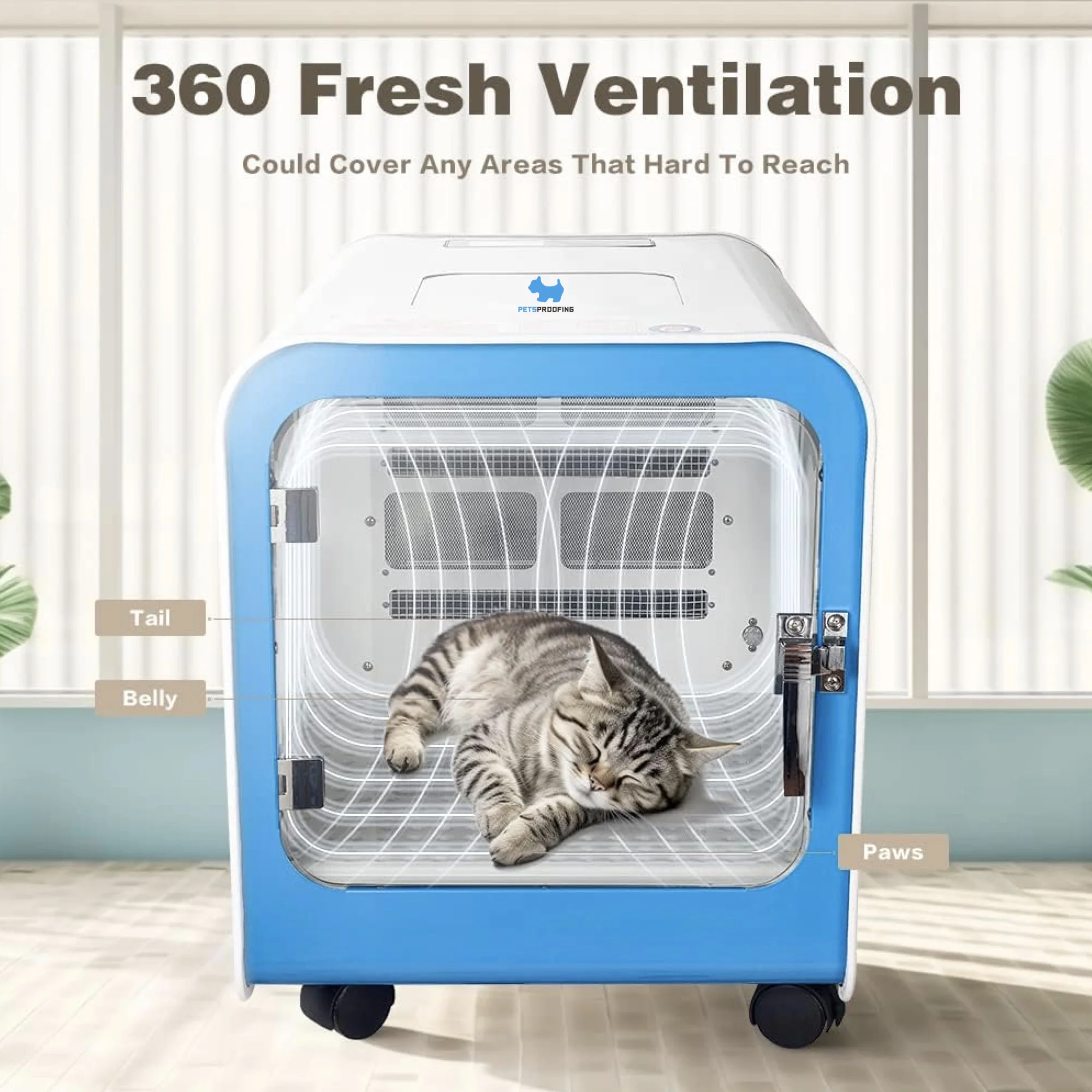 Plastic Box Room Drying Machine Air Blower Dryers for Pets Automatic Low Noise Dog and Cat Pet Grooming Hair Dryer