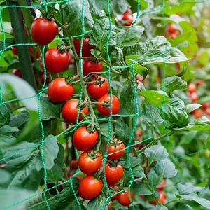 Planta enrejado de enrejado, red de cultivo de poliéster de servicio pesado, enrejado de jardín con malla cuadrada para trepar plantas, verduras, 8 mejores accesorios de jardín de ventas - №8