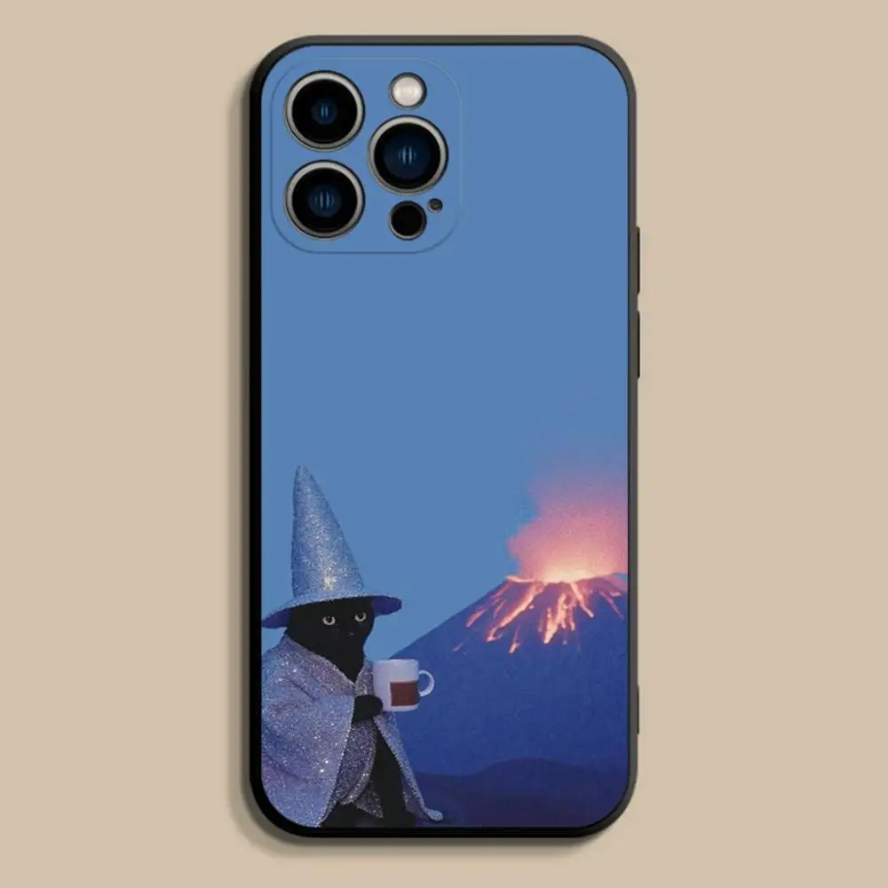 Pet Cat Funny memeS Phone Case For iPhone 17,16,15,14,13,12,Pro,Max,Plus,E,SE4,Air,Mini Black Soft Cover