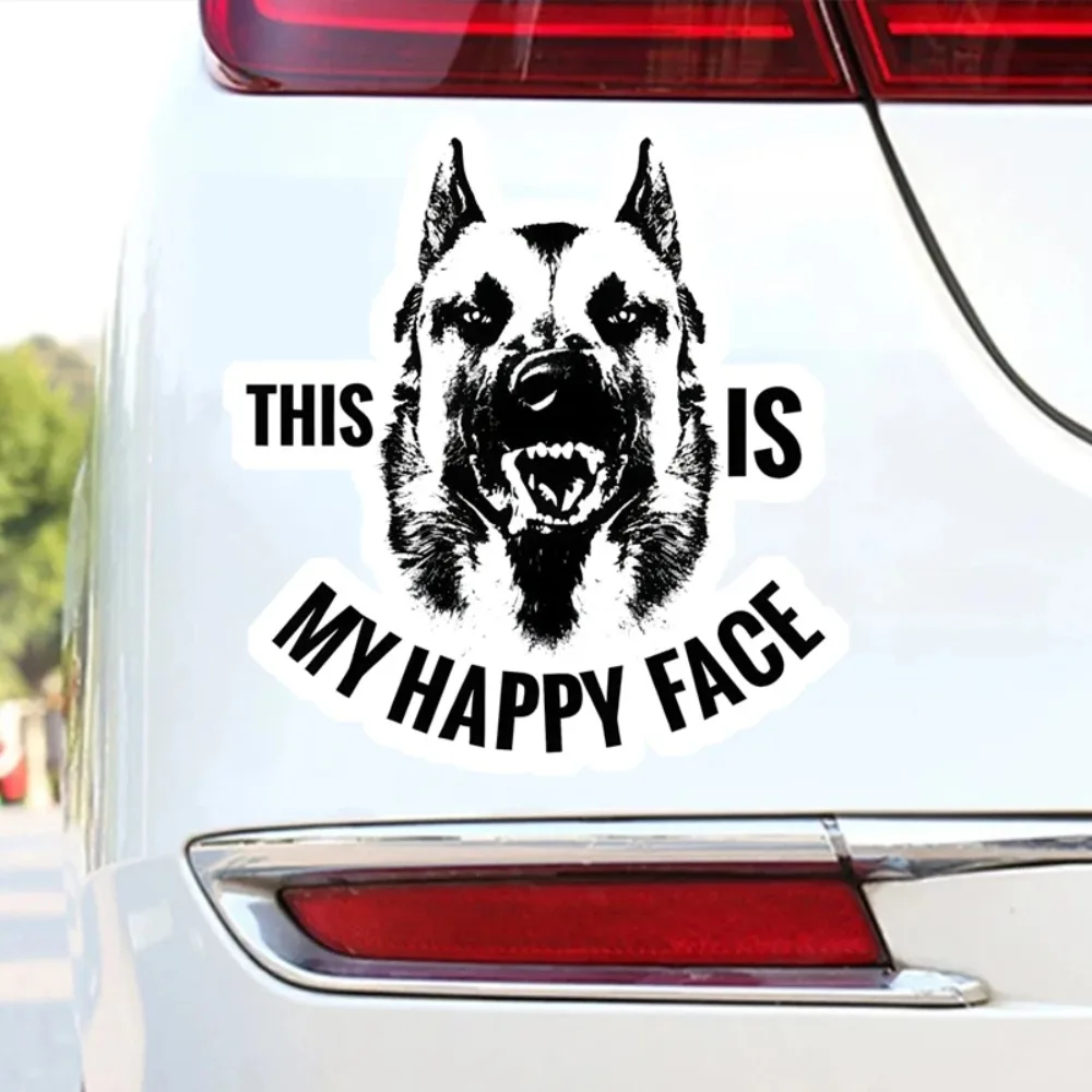 

Malinois This Is My Joyful Expression Sticker Car Decals, Durable Vinyl Stickers for Windows, Bumper, 2D Flat Vinyl Sticker
