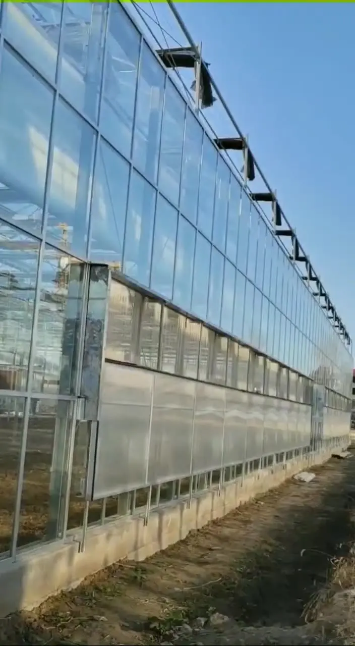 2025New ARRIVAL Strong WIND Resistance Green House กระจกนิรภัย Multi-Span เรือนกระจก Roll Up สําหรับ Organic Farming