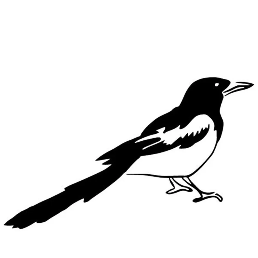 

Playful Bird Vinyl Car Stickers Waterproof for Auto Motorcycle Window Bumper - Magpie Inspired Outdoor Travel Decor 16.4x10cm
