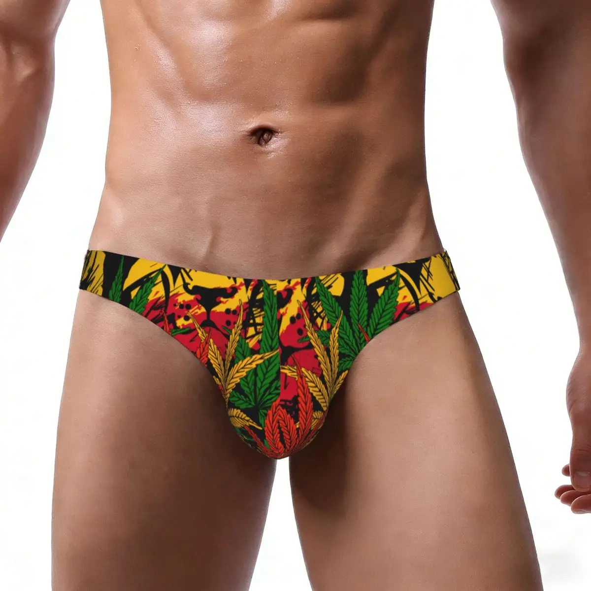 Men's Sexy Briefs Breathable Bikini Lion Rasta Pattern Men Underpants Low Cut Man Underwear Panties