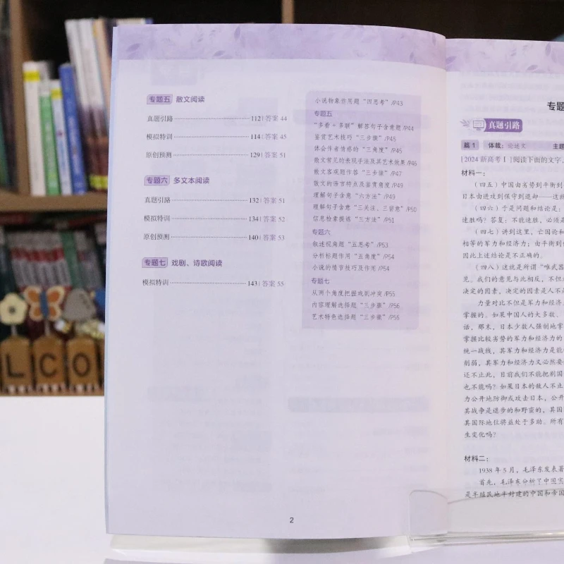 New College Entrance Examination Chinese Modern Literature Reading High School Entrance Examination Tutoring