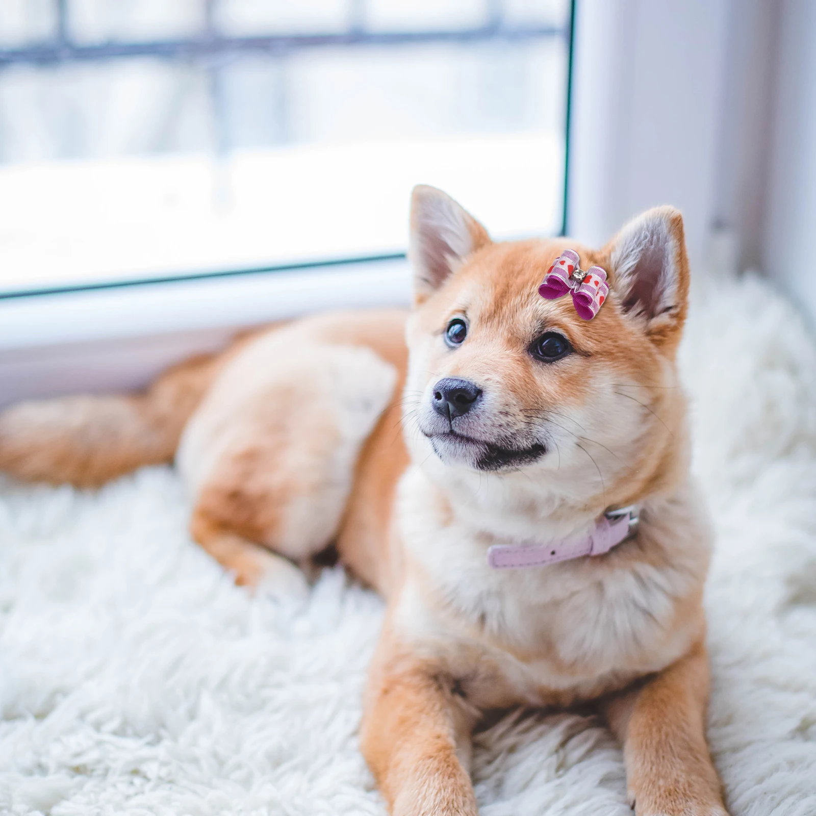 

10 Pcs Pet Bowknot Clips Durable Dog Cat Accessories Solid Color Bows Cute Barrettes Hairpins