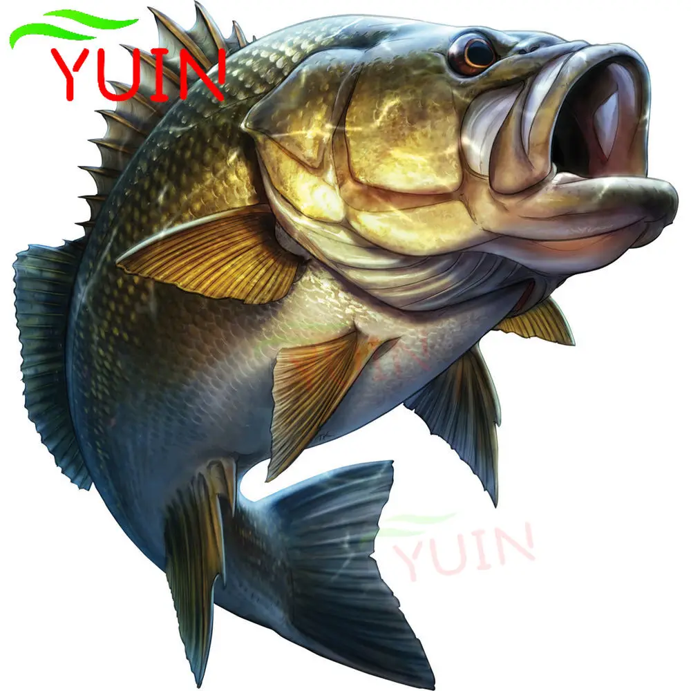 Classic Fishing Cartoon Cars Styling Large Mouth Bass Fish Car Sticker Boat Kayak Decals Truck Laptop Window Stickers ,20cm*20cm