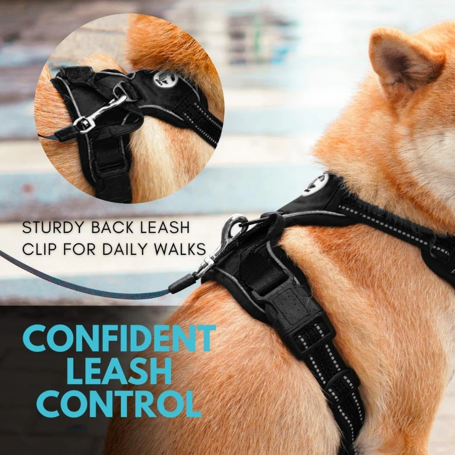 

Enhance your furry friend's comfort and style with this charming and stylish soft and durable harness - Perfect accessory for sp