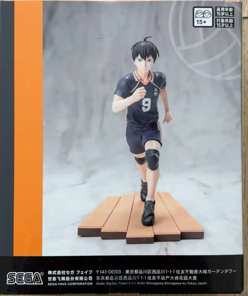 

SEGA PM Haikyuu!! Hinata Shoyo / Tobio Kageyama PVC Anime Figure