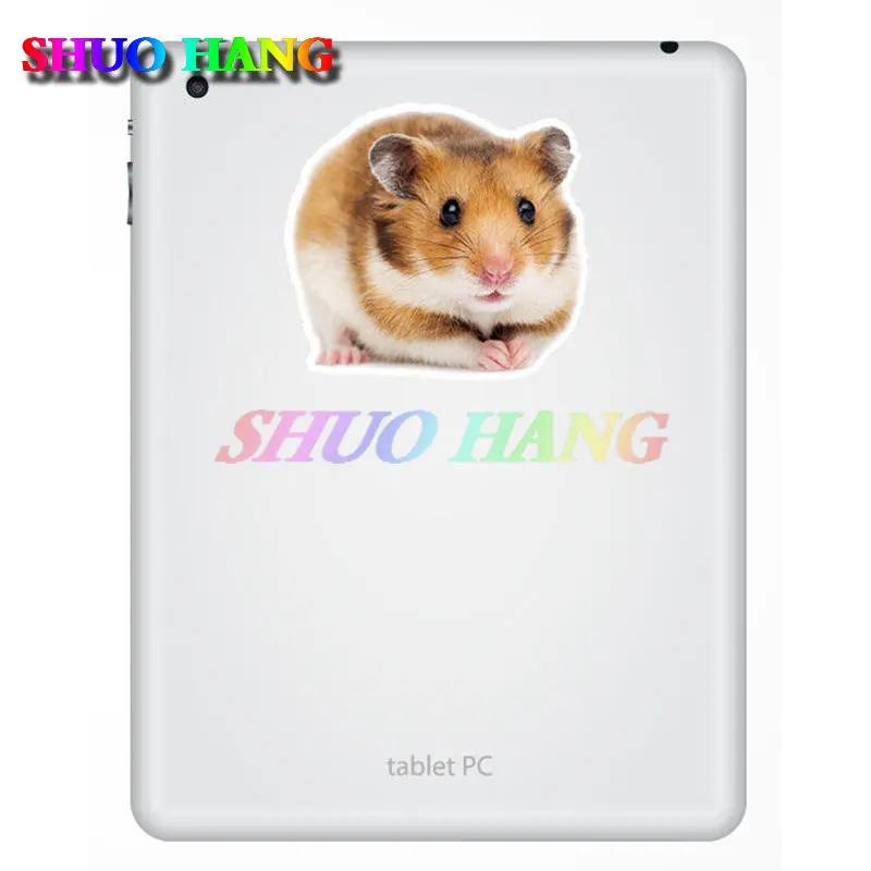 Cute Hamster Stickers Pet Animal Rodent Laptop Sticker Car Bumper Window Taxi Motorcycle Helmet Trunk Racing Vinyl Decals