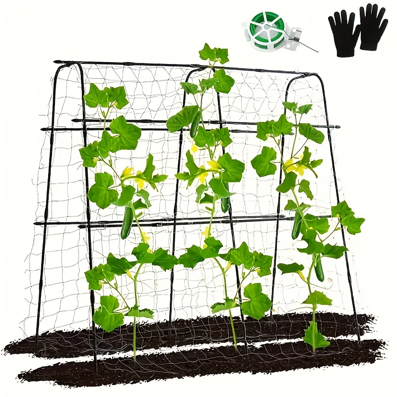 Cucumber Lattice U-shaped Large Metal Garden Vaulted Lattice Plants Climbing Frame Climbing Plants Outdoor Flowers Fruits