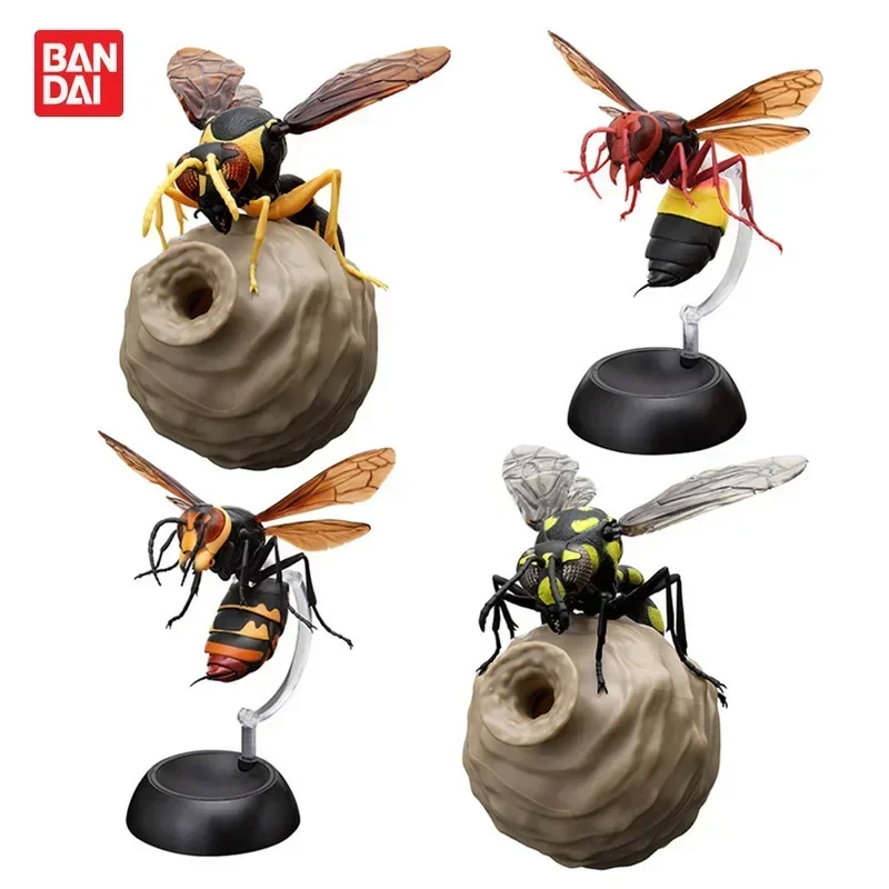 BANDAI Japan Gashapon Cute Biology Map Hornet Honeycomb Steller Bee Simulation Insect Figure Capsule Toys Gift