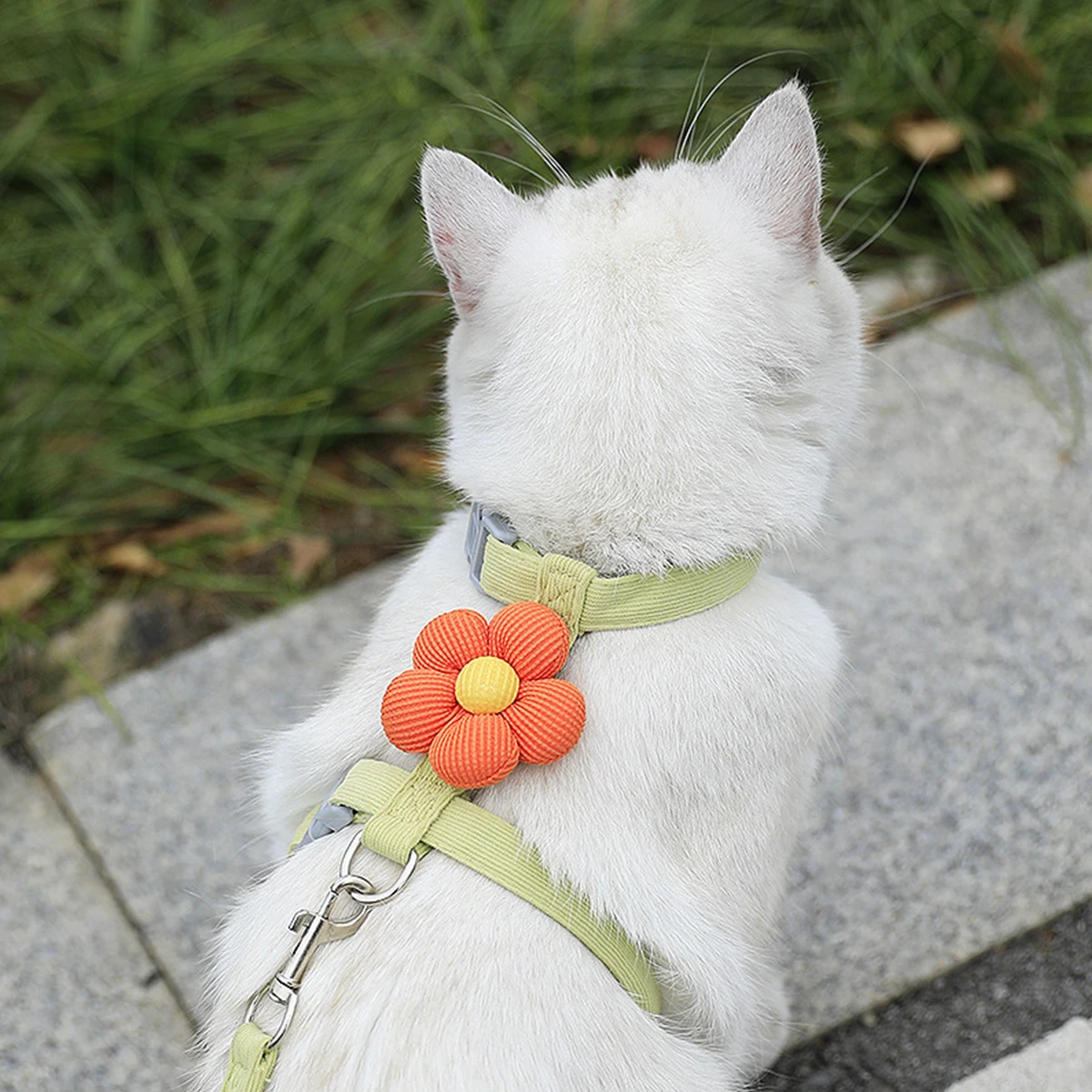 Kattenharnas en riemsets Verstelbaar hondenharnas voor kleine hondenriem Ademend huisdierharnas Out Walking Dog Strap