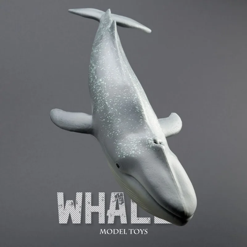 Solid Realistic Orca Ocean Animal Model Lifelike Killer Whale Marine Life Figurine Educational Cognitive Toy Statue