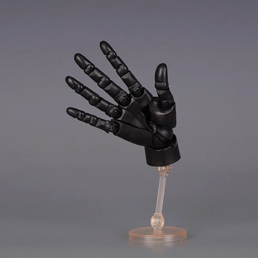 Right Articulated Hand Model Adjustable Poseable Anatomically Accurate Jointed Hand Flexible Hand Finger Joint Figurine